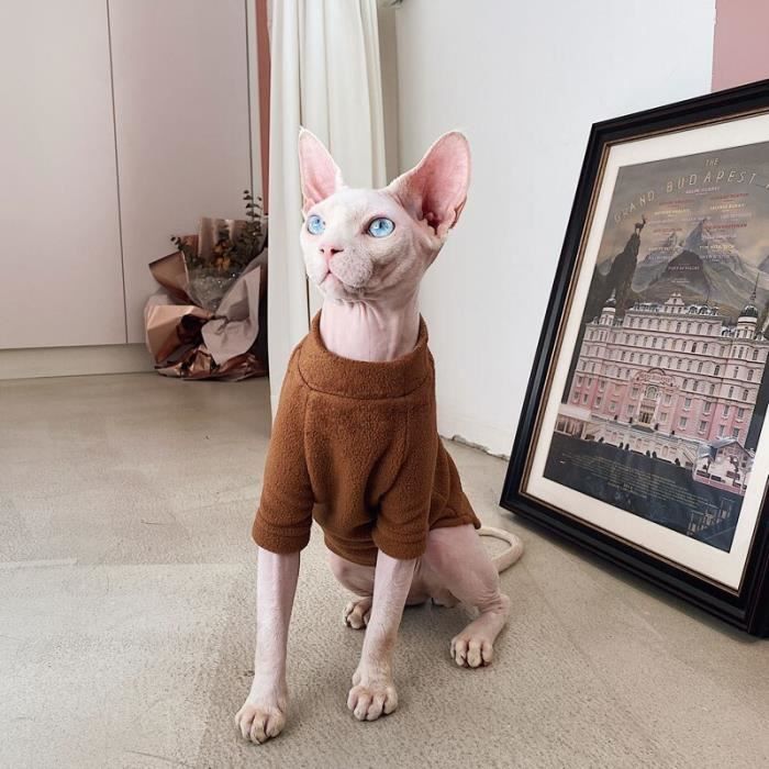 Vêtements pour chat sphynx deals