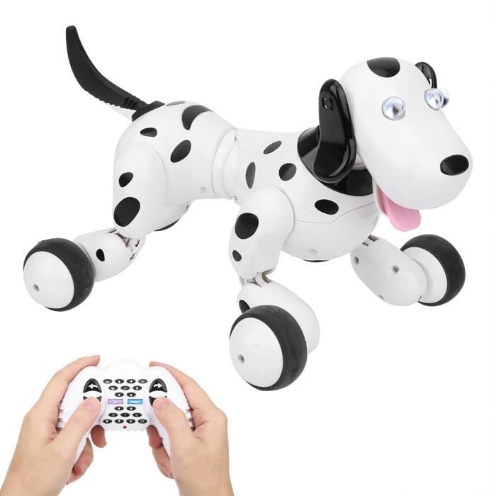 Télécommande jouet pour chien