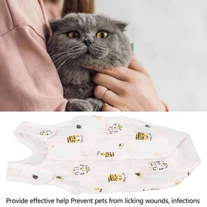 Pansement chaussette chat deals