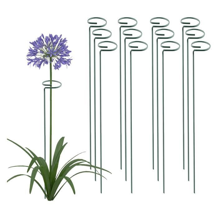 Kit De 6 Tuteurs Demi-cercle Pour Plantes - Support Grimpantes Vert - 14,5x15 Cm Et 25 Cm - 11