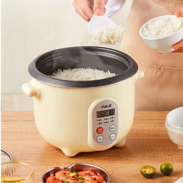 Cuiseur à Riz Petit 2L En Acier Inoxydable 304 - Portable Avec Fonctions Cuisson Et Chaud