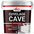 Enduit de Cuvelage Hydrofuge - Etanchéité Cave - Garage - Sous-sols | ARCACIM CAVE ARCANE INDUSTRIES Blanc - 25 Kg-0