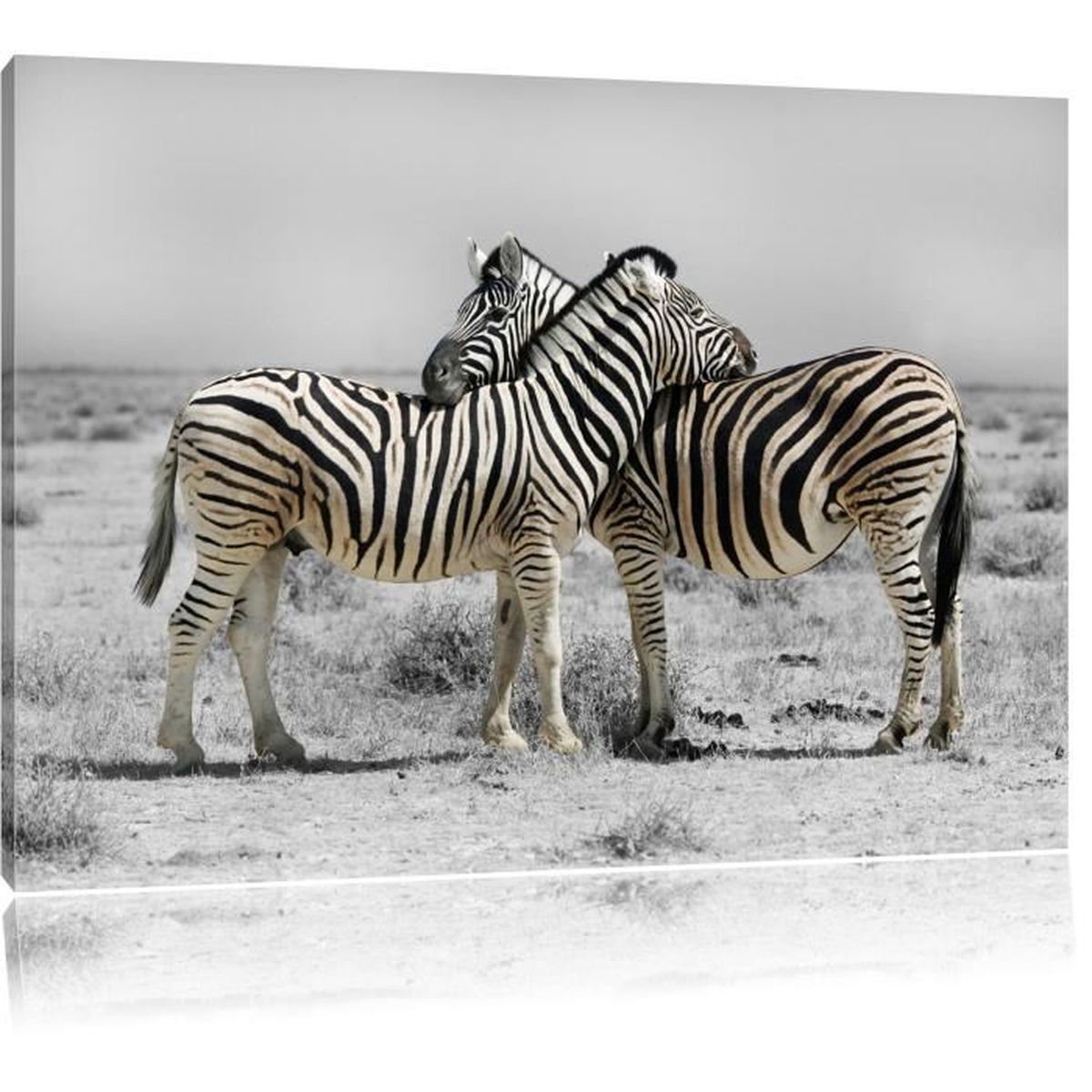 Toile Imprime Zebres Dans La Savane Noir Blanc Completement Encadrees Avec Civiere Wall Art Print Sur Le Cadreformat 100x70cm Achat Vente Tableau Toile Cdiscount