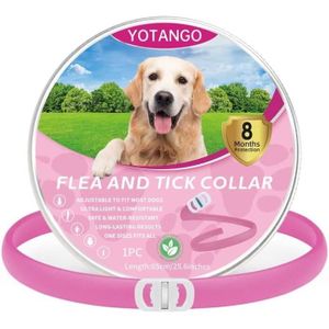 COLLIER Colliers Anti-Puces pour Chiens, Collier Anti Puce