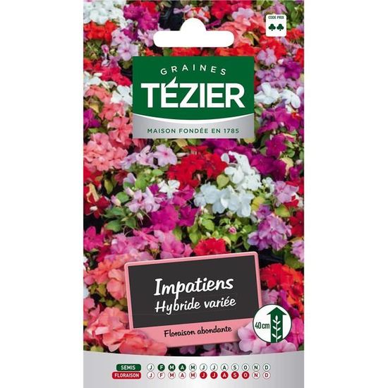 Sachet Graines - Tezier - Impatiens hybride variée -- Fleurs annuelles - Sachet Fleurs - Fleurs annuelles à utiliser sur ROCAILLES