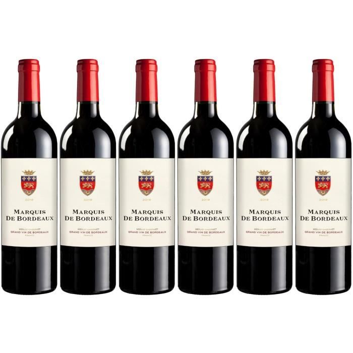 MARQUIS DE BORDEAUX 2019 - Appelation Bordeaux rouge contrôlée - vin rouge - Origine : France - 14 % vol - 6 x 75 cl