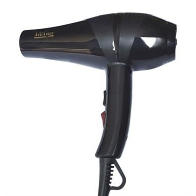 Haute puissance dédié sèche-cheveux chien 2300W