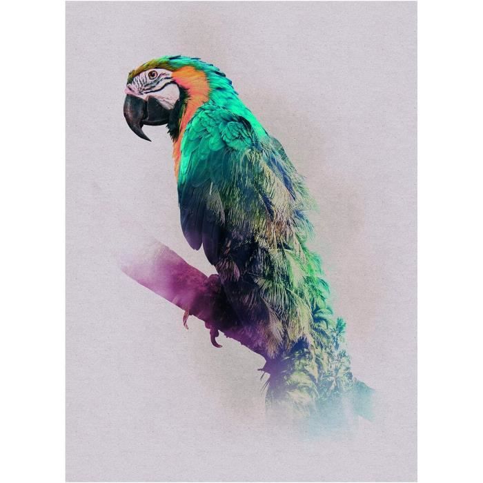 Komar Wandbild „Animals Paradise Parrot“ – Poster 30x40 Cm, Seidenmatt, Made In Germany