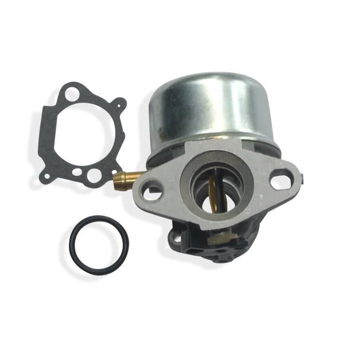 Carburatore compatibile con Briggs Stratton 799868 498170