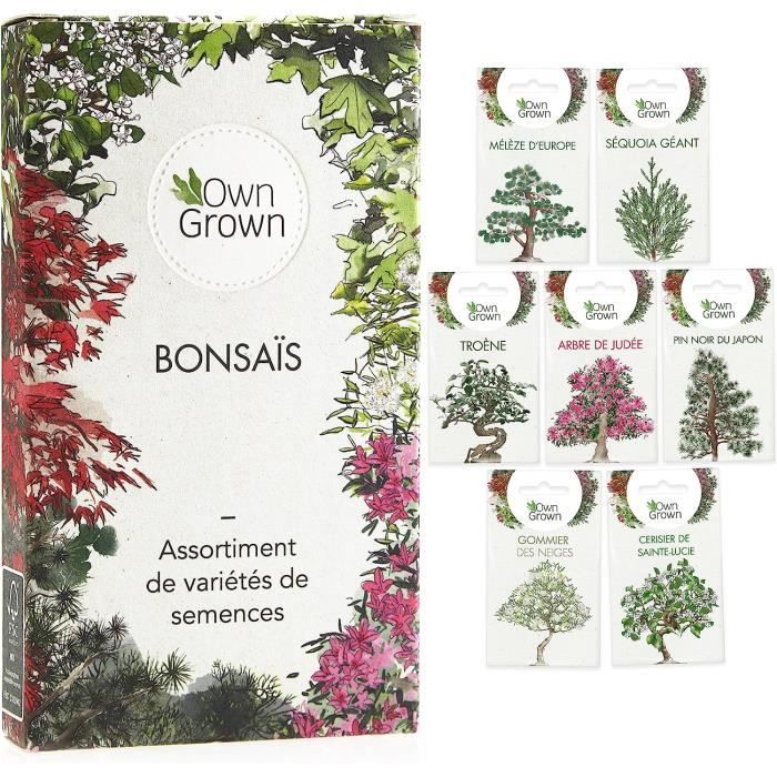 WEYE-Set de graines bonsaï : Kit graines à planter avec 7 variétés