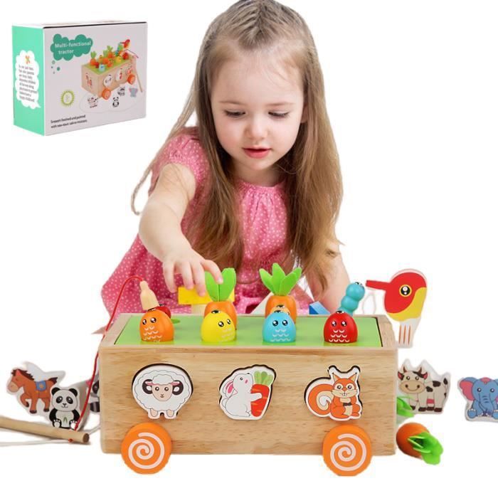 Jeux d'apprentissage, Jouet Enfant 1 2 3 4 Ans Garcon Fille Éducatif, Jouet  en Bois, Jeu de Peche,Reconnaître Animaux Légumes - Cdiscount Jeux - Jouets