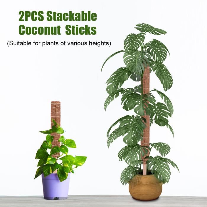 Tuteurs Plantes Lot De 30 - Bâtons Support 30cm Verts Pour Jardin Potager