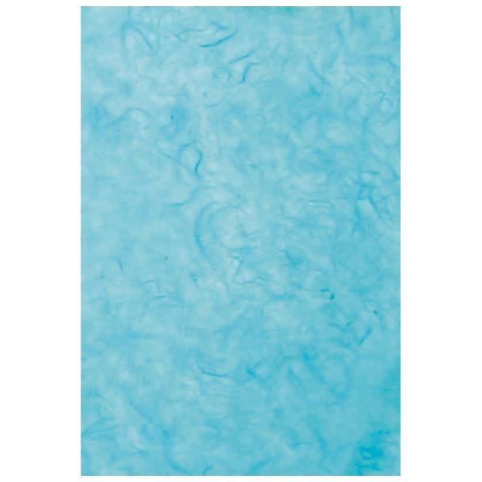 Clairefontaine Lot De 10 Feuilles Papier Cyanotype - Papier Dessin Épais 300g/m² A4 Pour Empreintes Solaires