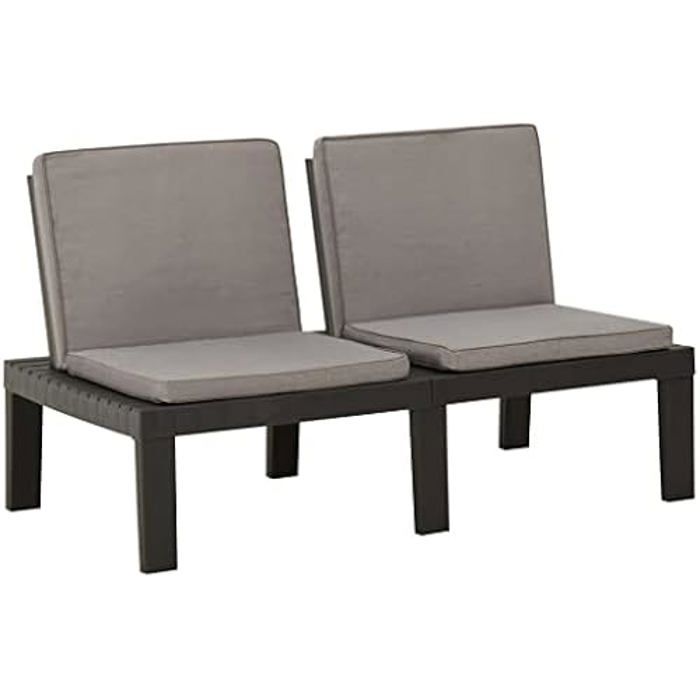 vidaXL Banc de Salon de Jardin avec Coussin