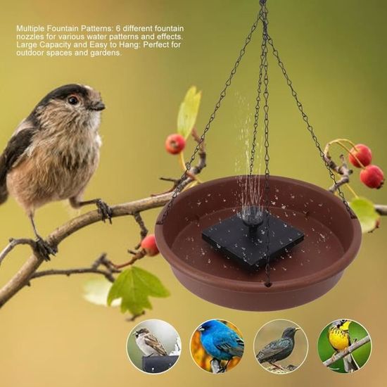 Plaque En Cuivre Pour Bain D'Oiseaux - Maintient L'Eau Claire Jusqu'à 14 Jours