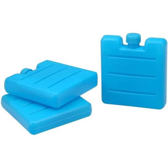 Sac isotherme avec sales pain de glace integre