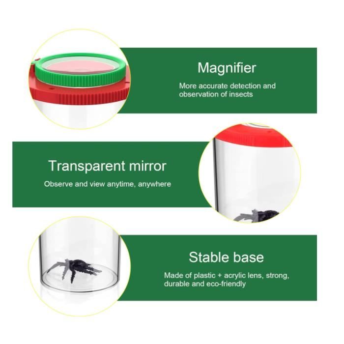 Boîte Loupe À Insecte, Jeu Éducatif - Boite À Insectes avec Double