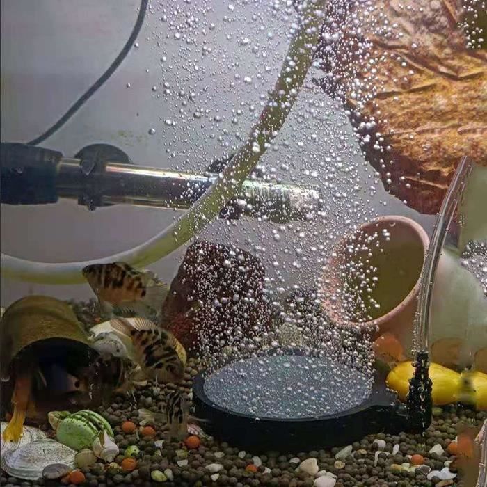 Pierre à oxygène pour pompe à air aération bulleur pour aquarium
