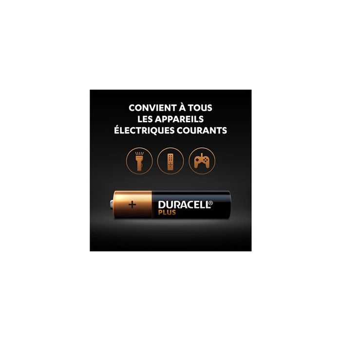 Boite de 12 piles Alcaline plus AAA LR03 Camelion