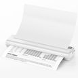 Papier Phomemo Papier Thermique Phomemo A4 - 100 Feuilles à Pli Continu, Pour Imprimantes Portables M832/M834 Papier Pli Continu M832 M834