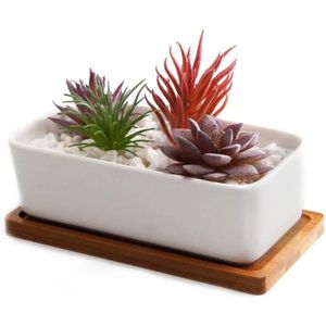Petit Pot Conteneur Jardinni/ère pour Fleur Plante Herbe Cadeau pour Mariage Noel Anniversaire T4U 7.5CM Pot de Succulent Cactus en C/éramique avex Plateau en Bamboo Lot de 6