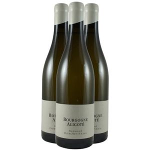 VIN BLANC Bourgogne Aligoté - Blanc 2020 - Domaine Dupont-Fa