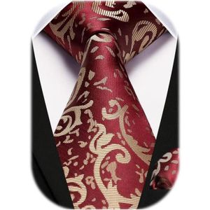 CRAVATE - NŒUD PAPILLON Cravate Homme Paisley Cravates En Soie Pour Hommes