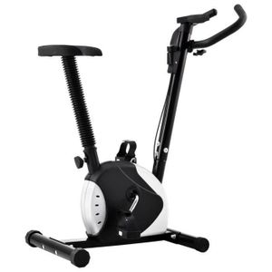 Vidaxl Velo D Appartement Avec Selle Prix Pas Cher Cdiscount