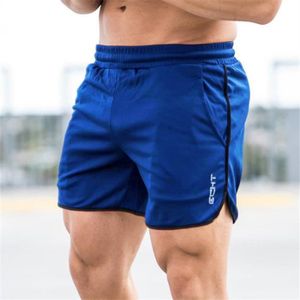 SHORT DE SPORT Short,Shorts de sport longueur mollet pour homme, s courts de marque, pour gym, Fitness, musculation, jogging- blue[F73913]