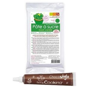 AIDE PÂTISSERIE Pâte à sucre verte arôme vanille 250 g + Stylo chocolat