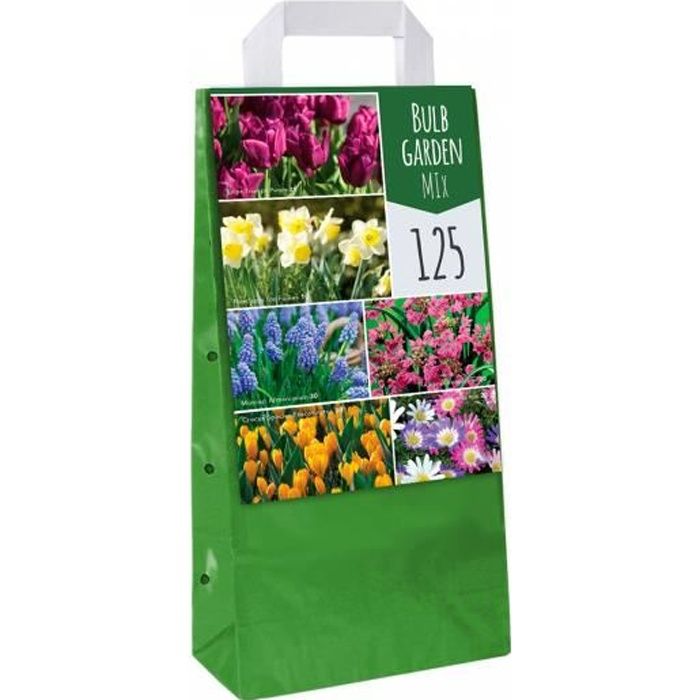 Mix de 125 Bulbes pour le jardin