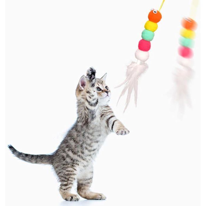 Jouet en plumes pour chat de porte jouets pour chats jouets interactifs à suspendre à la porte jouets attrayants(Rustle