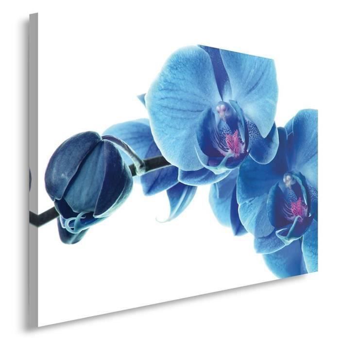 Tableau Decoration Murale Orchidee Fleurs Bleues 40x50 Cm Impression Sur Toile Style Moderne Chambre A Coucher Cdiscount Maison Tableau Decoration Murale Orchidee Fleurs Bleues 40x50 Cm Impression Sur Toile Style Moderne Chambre A Coucher Cdiscount Maison