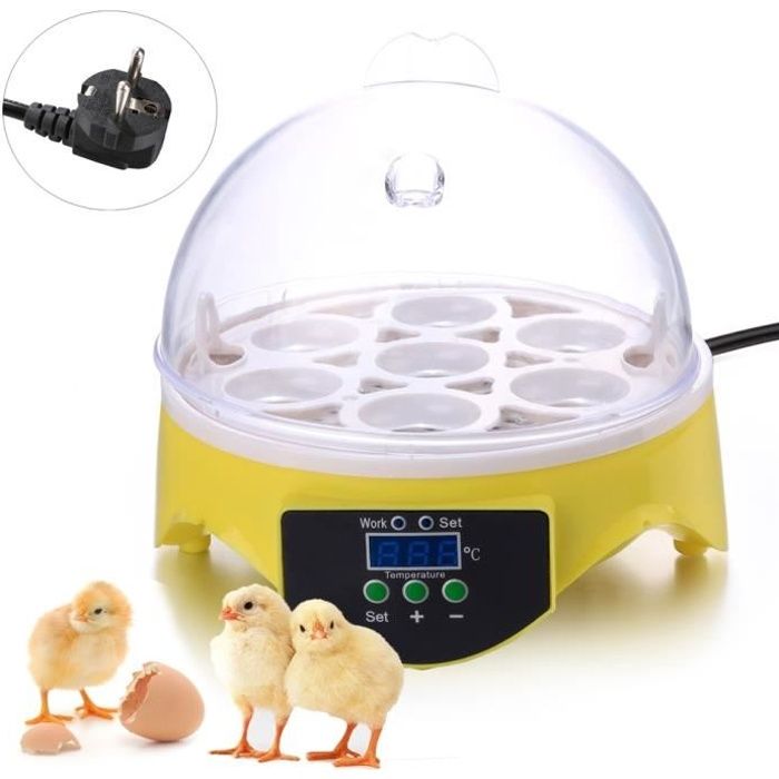 Couveuse - Homdox Mini Incubateur Capacité 7 oeufs outil de l'éclosion
