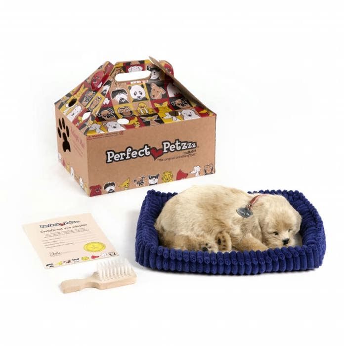 Perfect Petzzz Golden Retriever Cdiscount Jeux Jouets