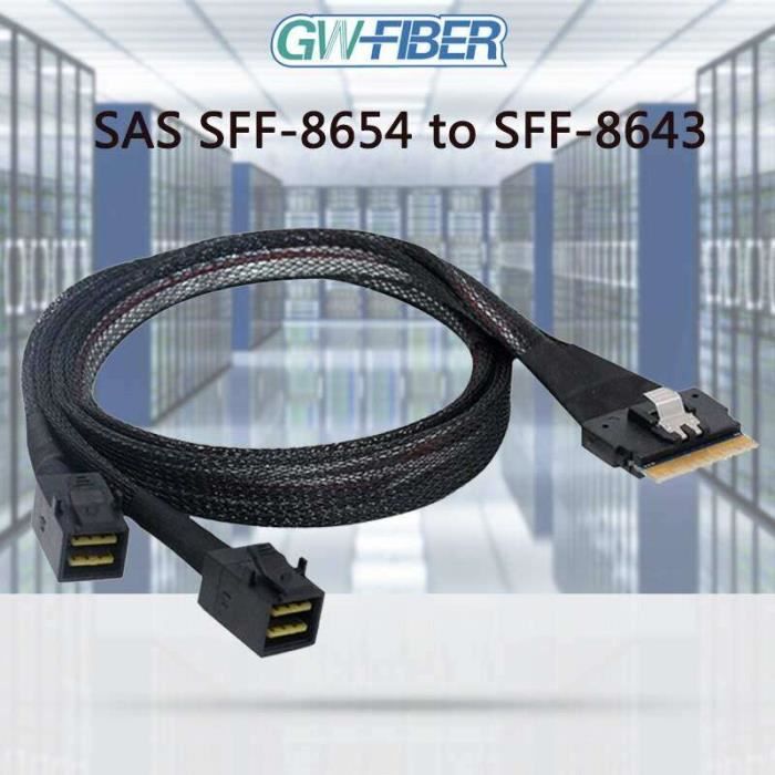 HI12964 EMETTEUR C ble De Donn es 24G SAS Sff 8654 8i Vers Dual 2 Mini hi12964-emetteur-c-ble-de-donn-es-24g-sas-sff-8654-8i-vers-dual-2-mini