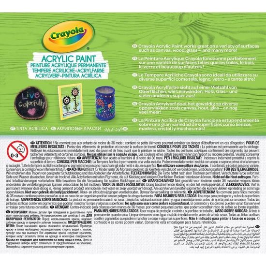 Crayola - Acrylic Paint - Couleurs de la Terre - Peinture et accessoires