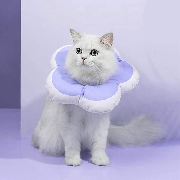 Collerette Souple Pour Chat Rembourr Anti Morsure Ajustable Collerette Souple Pour Chat Rembourr Anti Morsure Ajustable