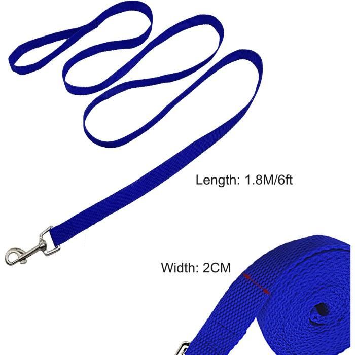 Longe Dexter bleue, simple - Gamm vert