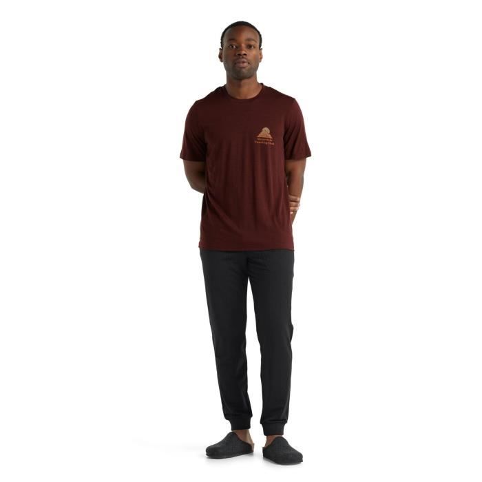 Icebreaker t hotsell shirt homme