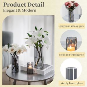 PASABAHCE Vase Flora En Verre Cylindrique - 26,5cm De Haut - Transparent Et Lavable Au Lave-vaisselle