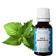 Huile Essentielle Menthe Poivrée Contre Les Souris Huile Essentielle Menthe Poivree 30ml Achat Vente Pas Cher