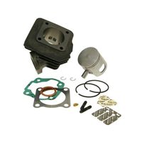 Kit cylindre 70cc Sport MALOSSI pour HONDA Vision 50cc, Met in, PEUGEOT Rapido, Scooter