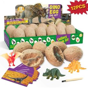 FIGURINE - PERSONNAGE Dinosaure Oeuf Jouet Dino Egg Dig Kit Enfant Dinosaure Figurines Kit Cadeau Garcon Enfant 6 7 8 9 Ans STEM.
