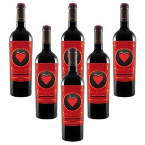 VIN ROUGE Primitivo di Manduria DOC vin rouge italien Cinque