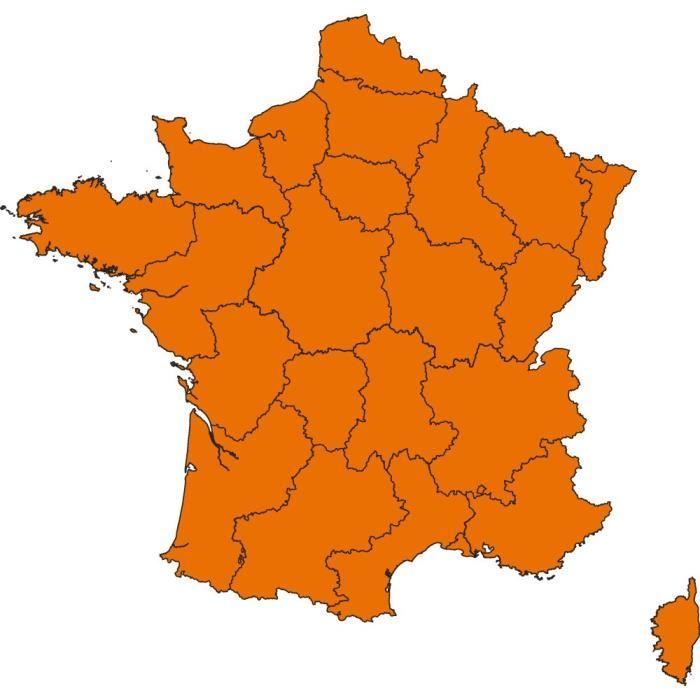 SPORTDOG Pack Carte France - Pour chien