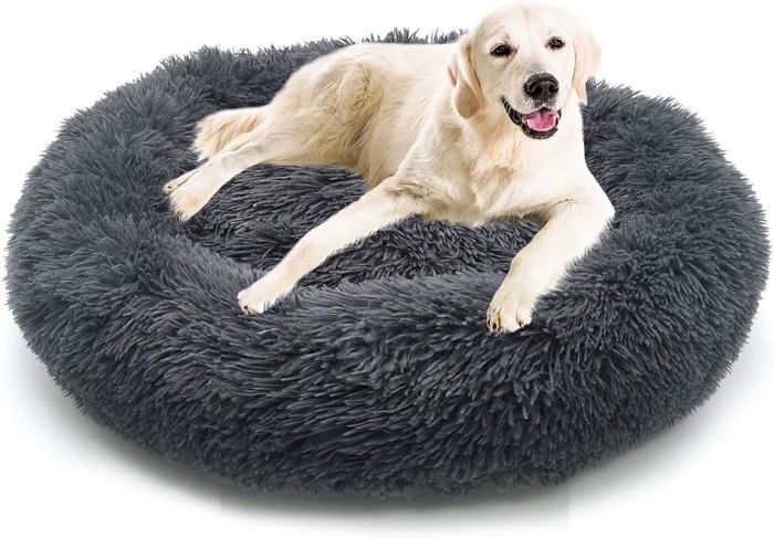 Panier Pour Chien Ou Chat Galatée – Nid Douillet Avec Coussin Amovible, Fond Antidérapant, Taille M (marron)