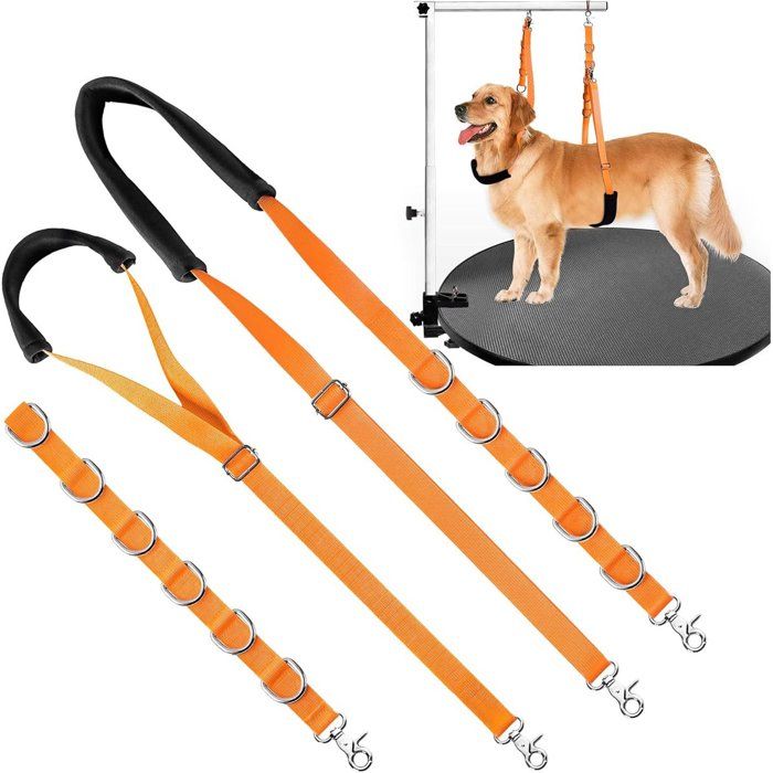 Sangle de toilettage pour chien - DEMA - Orange - Sangle ventrale ajustable - Revêtement doux et rembourré