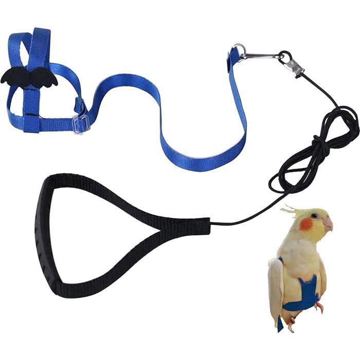 Harnais réglable pour Perroquet Laisse pour Animal Domestique Corde Anti-Morsure Sangle élastique pour Oiseaux perroquets M bleu