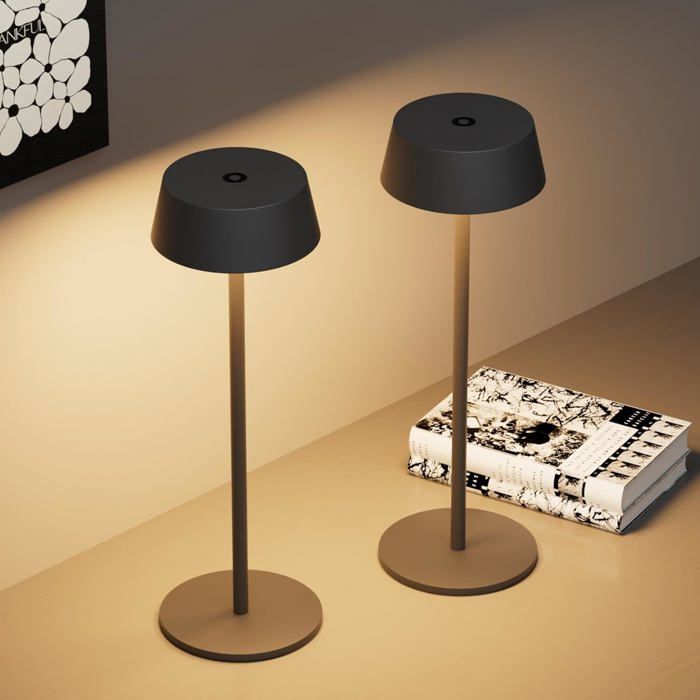 Lot De 2 Led Mable Noir Lampes De Bureau À Batterie Rechargeable Lampe De Table Avec De Chargement Usb Pour Intérie[LL420]